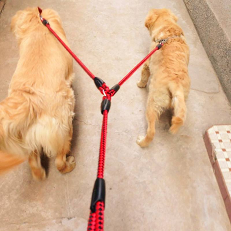 Dual Dog Leash - Strong & Padded